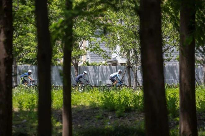 Kaiyun体育网站：没想到上海竟然有这么多“市内桃源”(图10)
