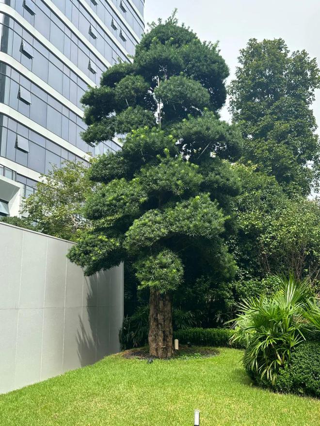 ◈润和滨江湾润和滨江湾售楼处发布：建面约385㎡-1200㎡(图7)
