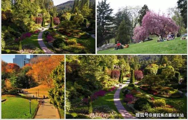 ®上海桃花源售楼处上海桃花源发布：居住舒适度高(图20)