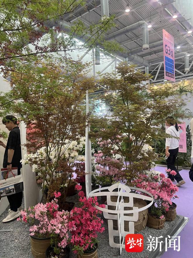 Kaiyun（中国体育）：“开展首日接到了来自澳洲的订单！”400多家参展商共享花园盛事(图1)