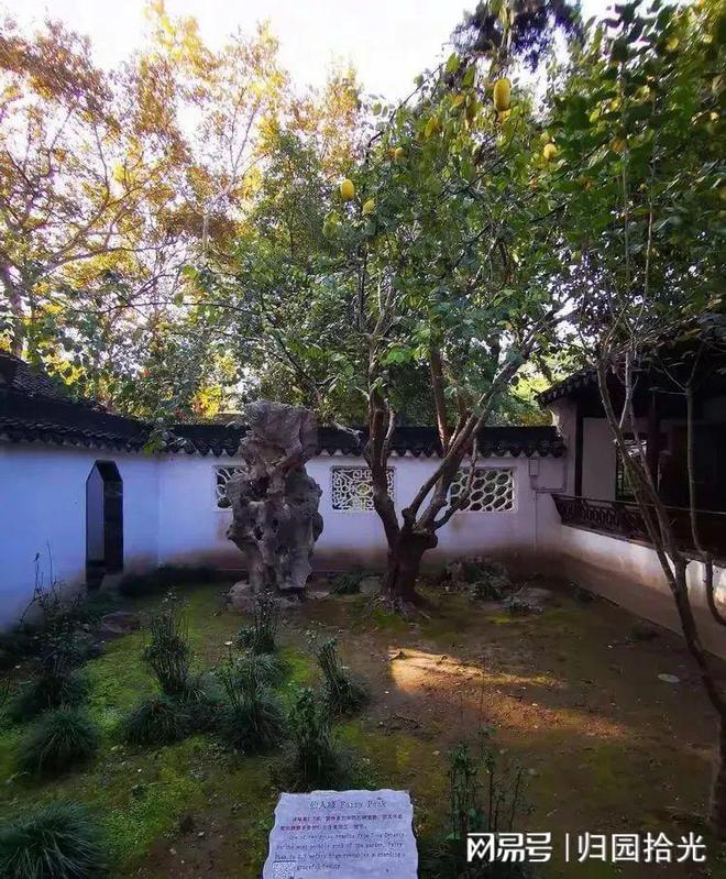 Kaiyun（中国体育）：南京现存历史最久的明代古典园林之一被称金为陵第一园(图11)
