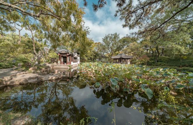 Kaiyun体育网站：从秋霞圃到课植园上海六大古园林你都去过吗(图8)