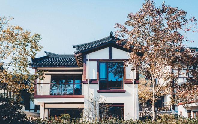 唐潮十二坊网站-唐潮十二坊首页-AI炸裂(图1)