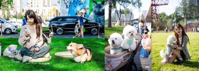罕见！国家级重点城更规划加持！天津市区四层纯洋房(图3)