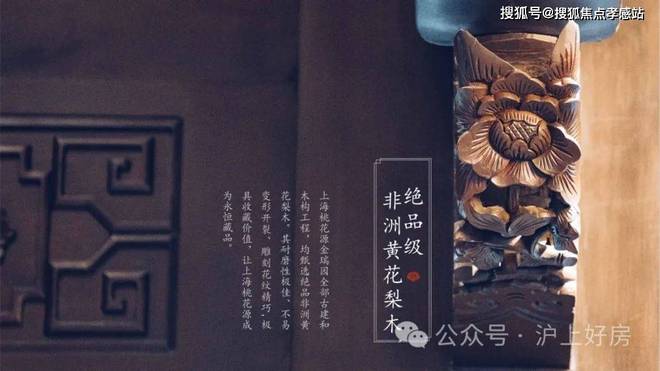 ♾上海桃花源发布丨☏桃花酿墨推窗抖落半卷凝固的液态江南(图22)