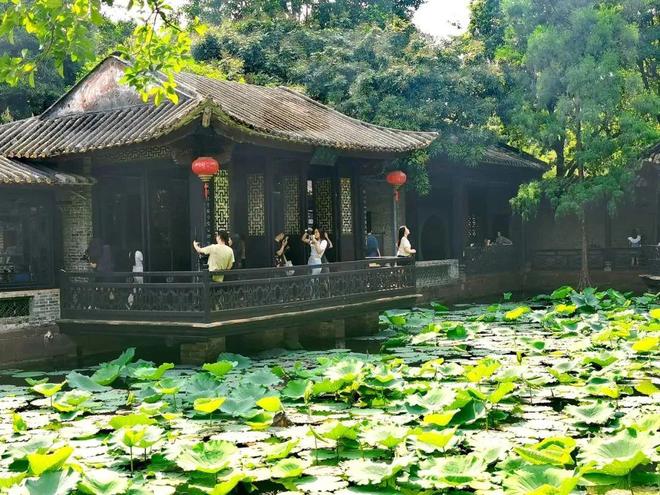 开启“逛吃佛山”模式！这5条游玩线路让你大饱眼福和口福→(图6)