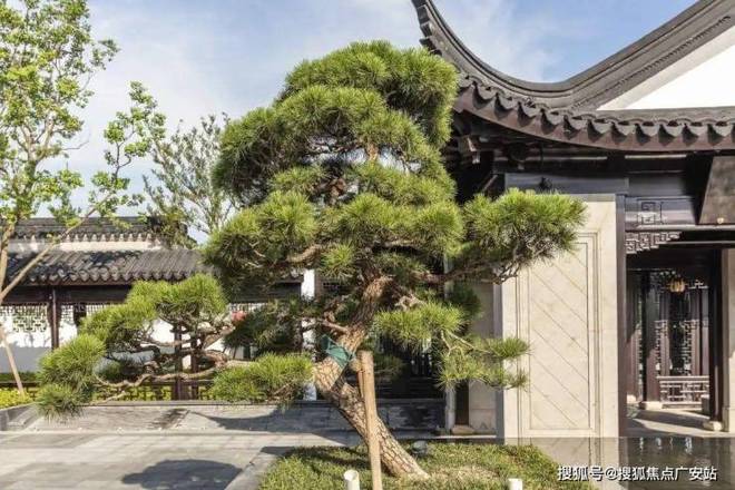 Kaiyun（中国体育）：惊爆！璟云里盛大来袭非遗香山帮匠造总价660万起抢占墅区(图2)