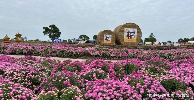 保利建发璟玥府(2024年保利建发璟玥府)首页网站-楼盘详情-户型配套(图9)