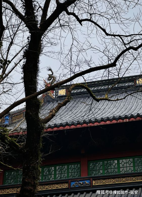 苏杭六天五晚旅游团大概花销多少钱？苏杭六日游旅游攻略推荐！(图4)