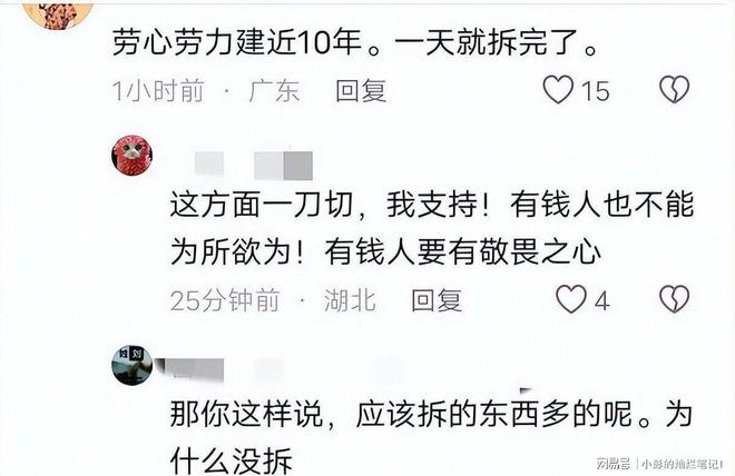 Kaiyun（中国体育）：10亿违建豪宅被推平屋主身份曝光官媒称完全合理！(图11)