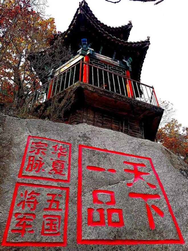 全球首个NbS城市中心在上海成立暨《上海案例》首发(图2)