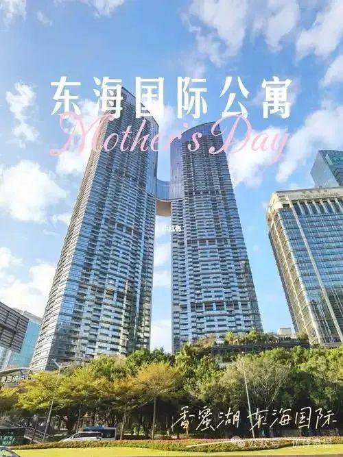 Kaiyun体育网站：最具投资价值豪宅深圳豪宅市场的标杆-东海国际公寓售楼处电话(图2)