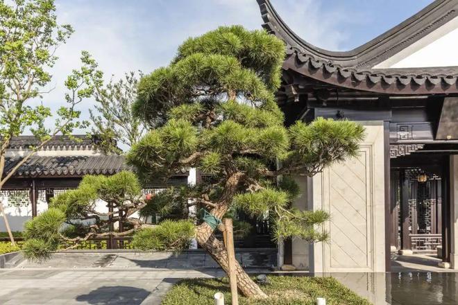 璟云里售楼处首页网站-璟云里营销中心欢迎您-楼盘详情(图4)