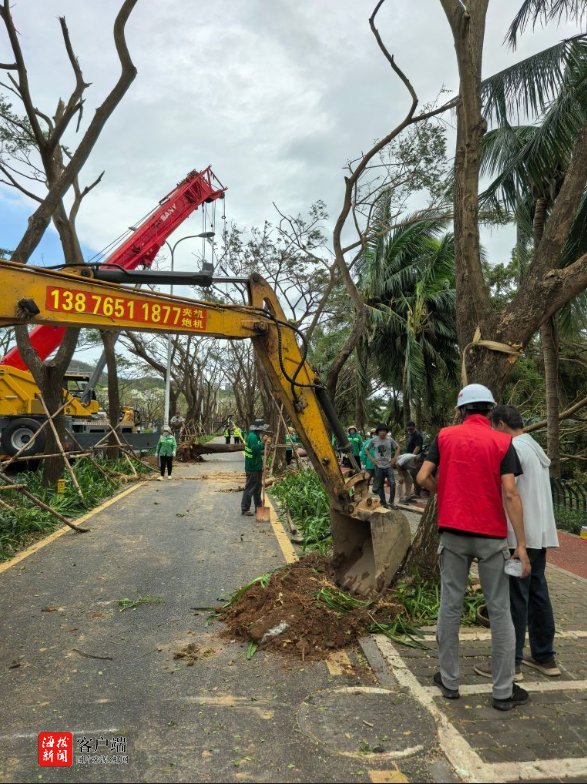 Kaiyun（中国体育）：海南省住建厅党员突击队跨市县支援三亚园林绿化加速修复(图2)