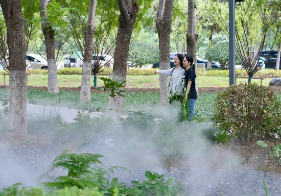 “像走进童话世界！”合肥南二环现如梦似幻“雾森绿谷”(图1)