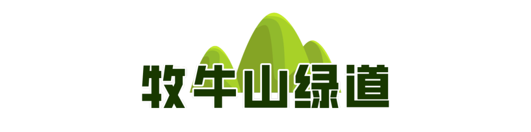 一城山色·泉城绿道历下区山林绿道串起市民美好生活(图4)