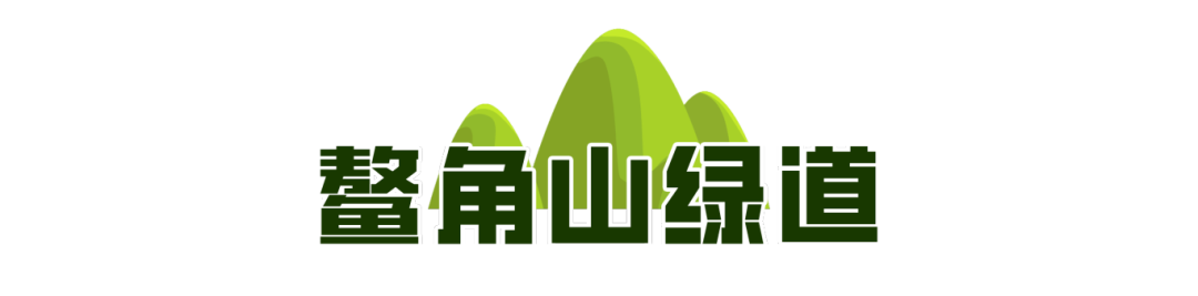 一城山色·泉城绿道历下区山林绿道串起市民美好生活(图13)