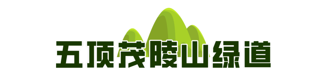 一城山色·泉城绿道历下区山林绿道串起市民美好生活(图8)