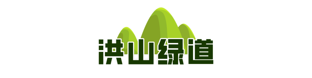 一城山色·泉城绿道历下区山林绿道串起市民美好生活(图10)