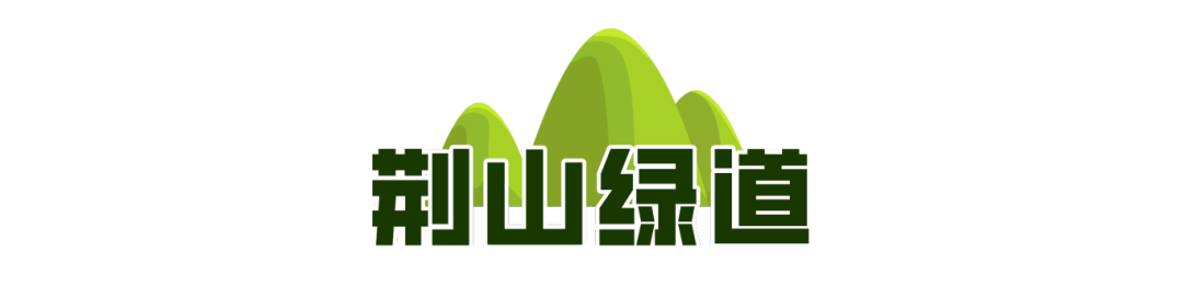 一城山色·泉城绿道历下区山林绿道串起市民美好生活(图9)
