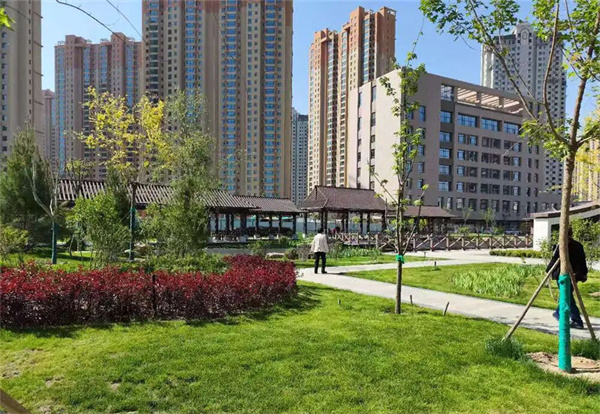 方寸游园增添民生温度兰州市以生态为基夯实城市发展绿色底色(图2)