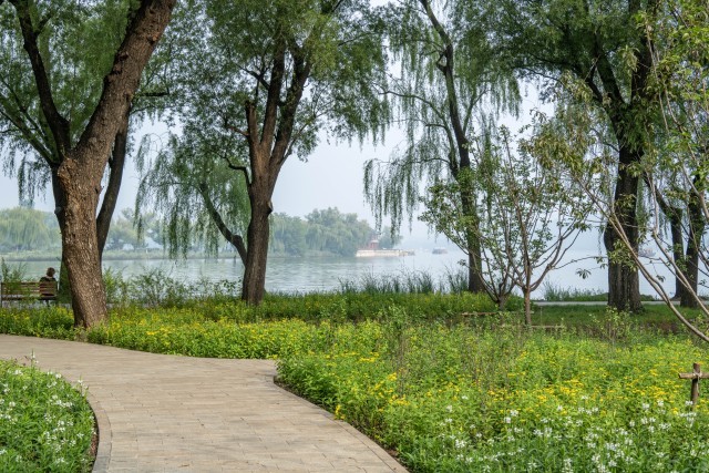 恢复6条重要观景视廊颐和园昆明湖南岸景观提升完工(图1)