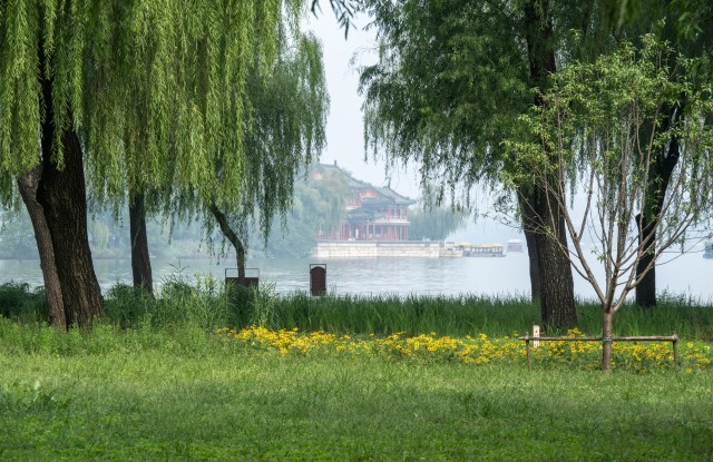 恢复6条重要观景视廊颐和园昆明湖南岸景观提升完工(图3)