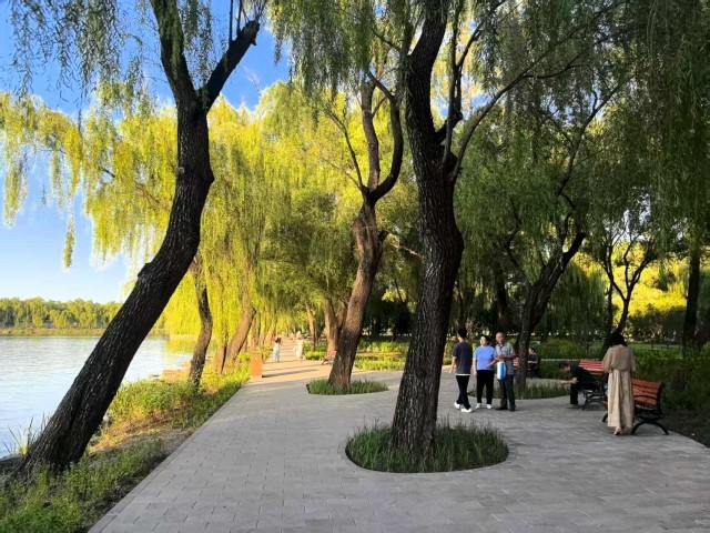 恢复6条重要观景视廊颐和园昆明湖南岸景观提升完工(图5)