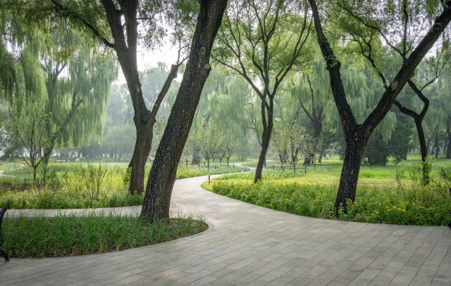 恢复6条重要观景视廊颐和园昆明湖南岸景观提升完工(图6)
