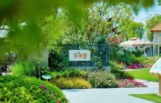 联动2025世界赛艇锦标赛青浦还有这么多好去处(图18)
