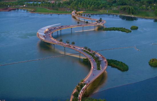 联动2025世界赛艇锦标赛青浦还有这么多好去处(图40)