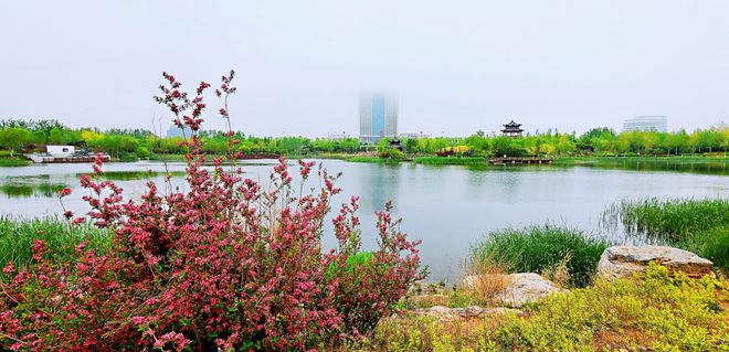 Kaiyun（中国体育）：统统免费这些不可错过的秦皇岛秋季浪漫(图18)