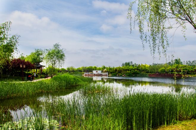 Kaiyun（中国体育）：统统免费这些不可错过的秦皇岛秋季浪漫(图19)