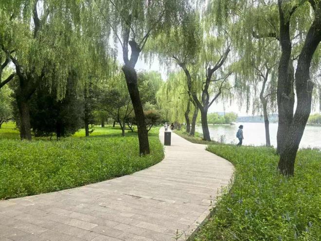 昆明湖南岸焕新！！颐和园恢复6条重要观景视廊(图2)