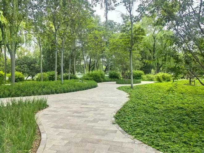 昆明湖南岸焕新！！颐和园恢复6条重要观景视廊(图4)
