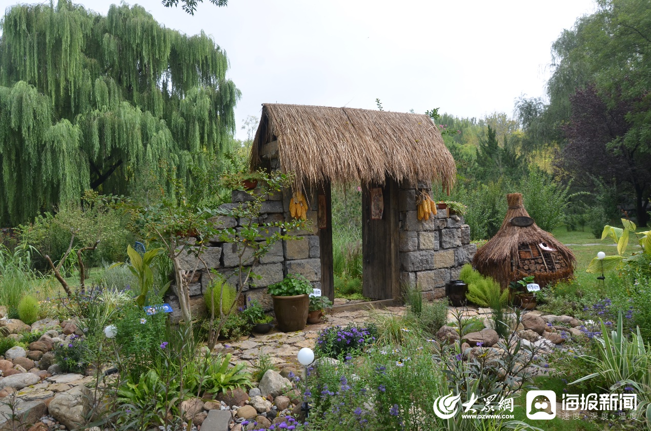 技能兴鲁：“花境赛事”助推“百姓园林”建设(图6)