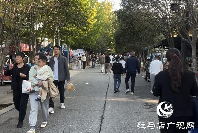 国庆小长假公园游人如织(图3)