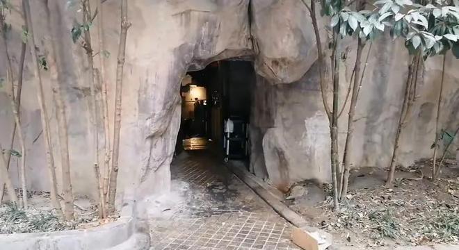 上海最奇葩的住宅楼两栋楼之间夹着一座假山已成网红打卡点(图3)