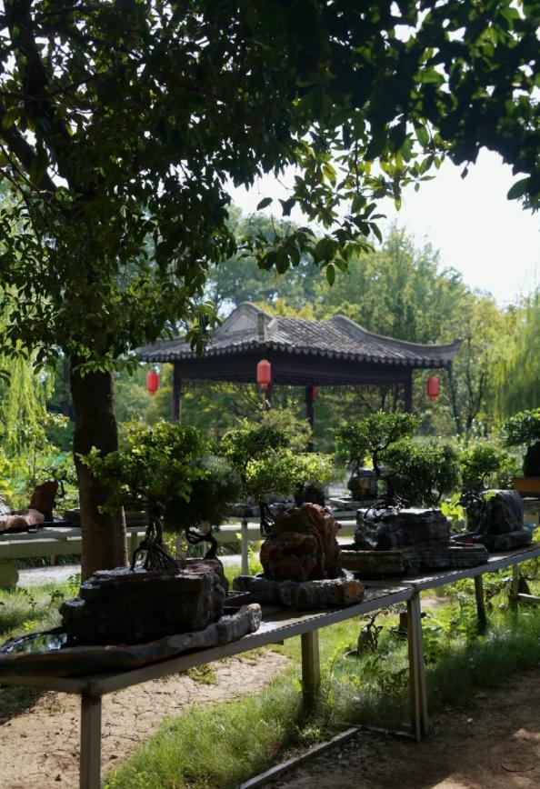 江苏这座低调又有钱的江南老城比扬州安逸拥有了苏杭所有美景(图7)