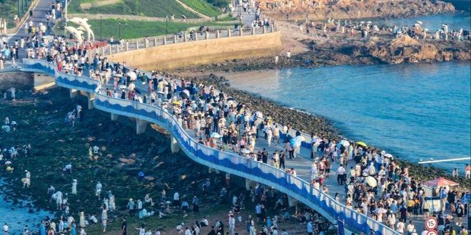 Kaiyun体育网站：绿色生活触手可及青岛迈入“千园之城”(图3)