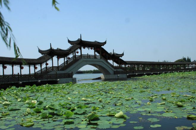 Kaiyun（中国体育）：避坑！2025苏杭旅游新手专属路线避开景区套路少走冤枉路(图1)