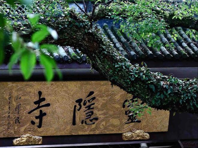 Kaiyun体育网站：苏州旅游必去十大景点：西湖南浔狮子林苏杭四天三晚深度游路线(图3)