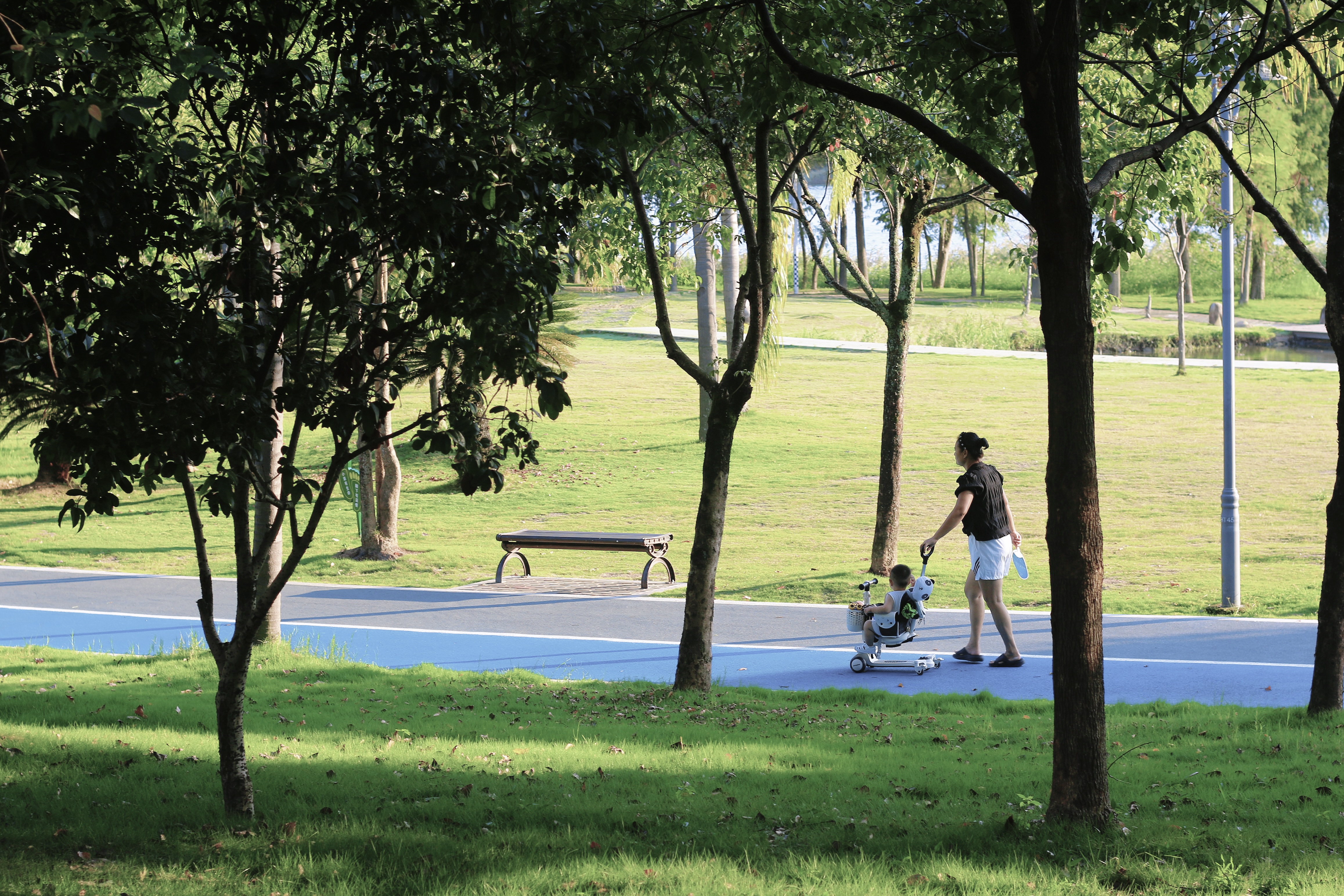 步道景观提升：亲水东湖一步一景(图1)