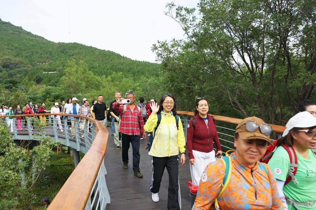 济南市园林和林业绿化局：“一城山色·泉城绿道”绘就泉城幸福底色(图7)