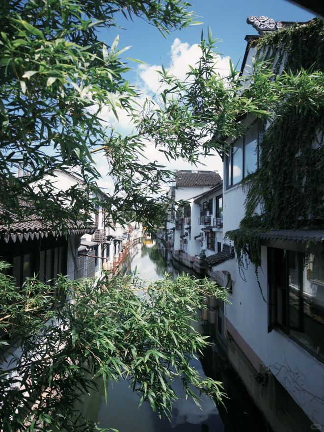 Kaiyun（中国体育）：扮靓城市“微空间”银川两座海绵公园昨日开园(图3)
