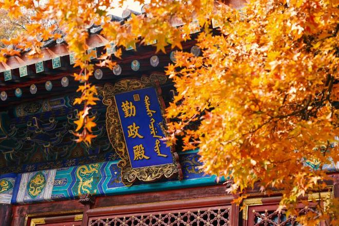 Kaiyun（中国体育）：不必扎堆赏红北京市属公园彩叶观赏指南来了！(图7)