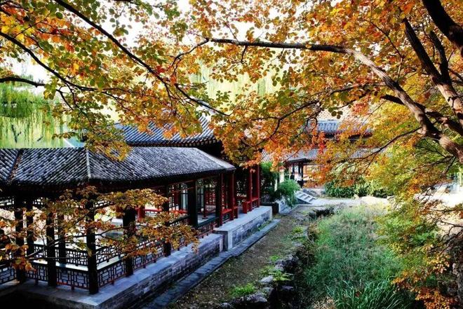 Kaiyun（中国体育）：不必扎堆赏红北京市属公园彩叶观赏指南来了！(图2)