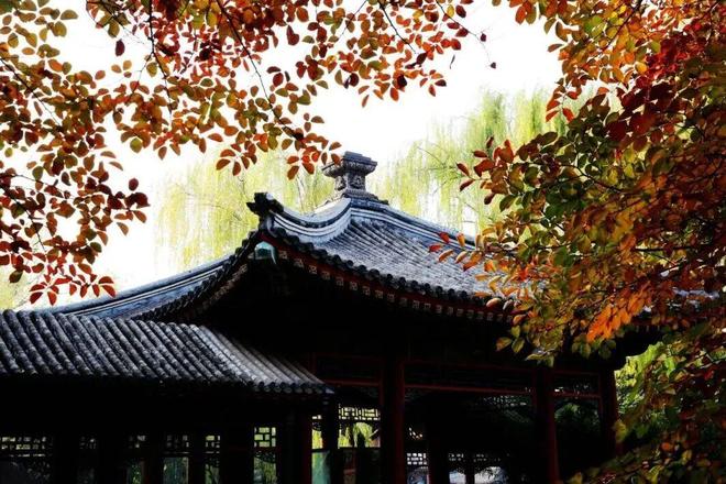 Kaiyun（中国体育）：不必扎堆赏红北京市属公园彩叶观赏指南来了！(图1)