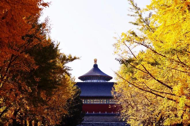 Kaiyun（中国体育）：不必扎堆赏红北京市属公园彩叶观赏指南来了！(图3)
