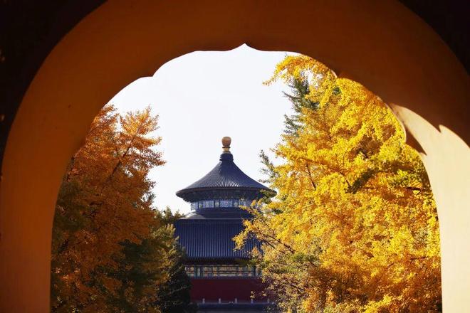 Kaiyun（中国体育）：不必扎堆赏红北京市属公园彩叶观赏指南来了！(图4)